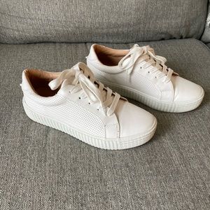 Steve Madden Sneakers